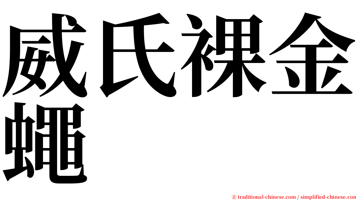 威氏裸金蠅 serif font