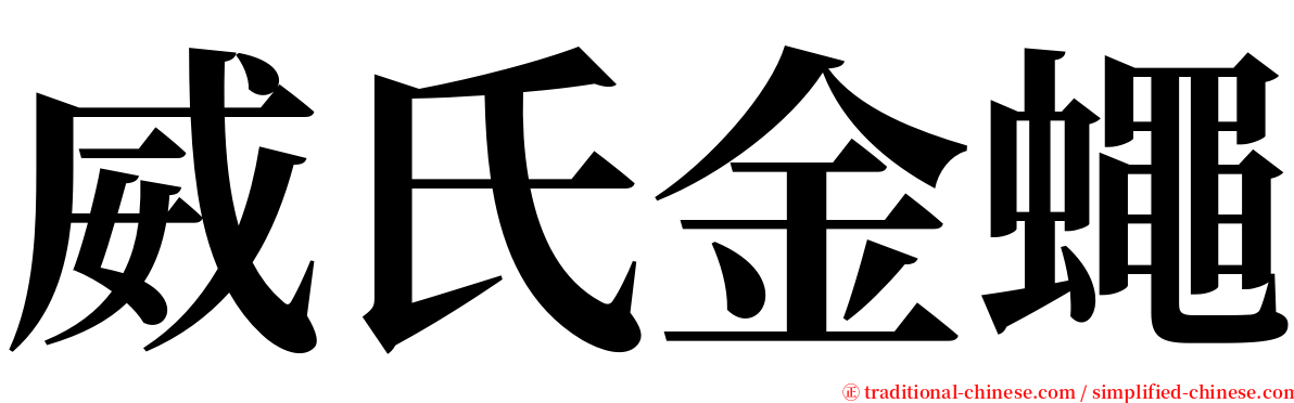 威氏金蠅 serif font