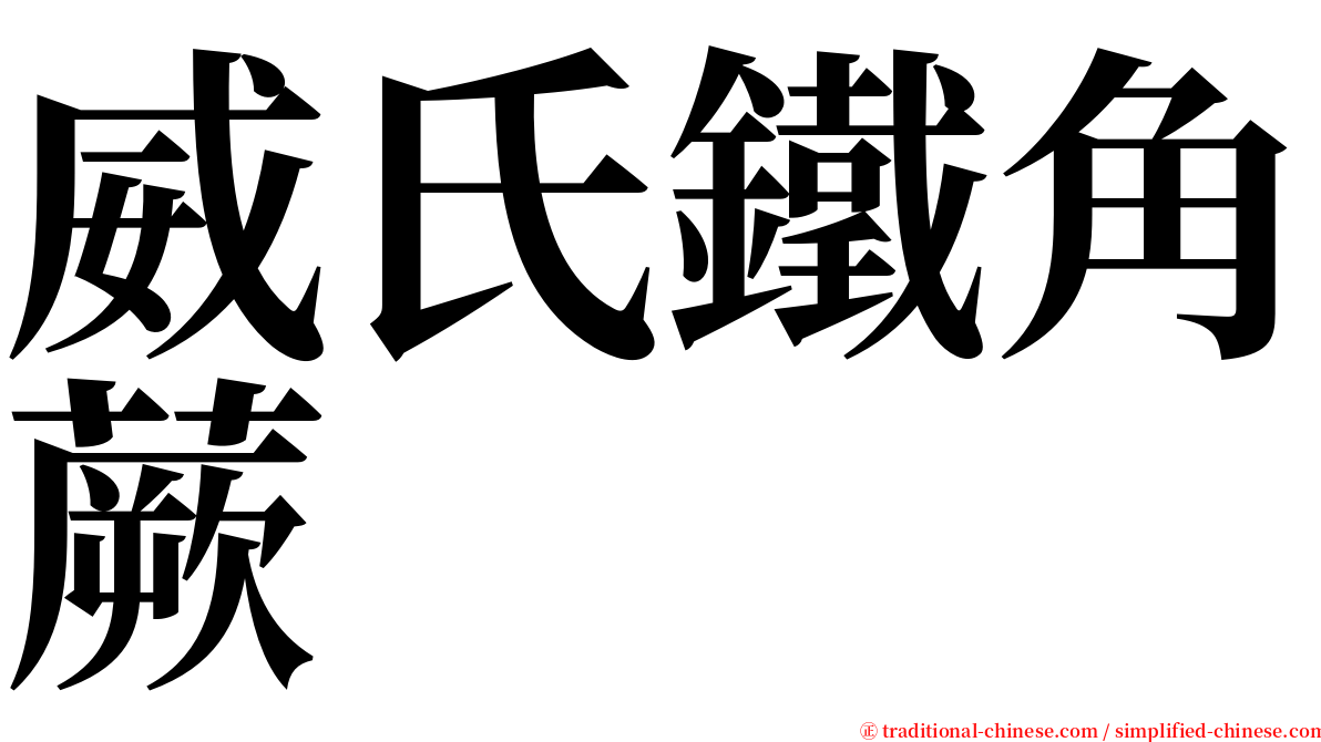 威氏鐵角蕨 serif font