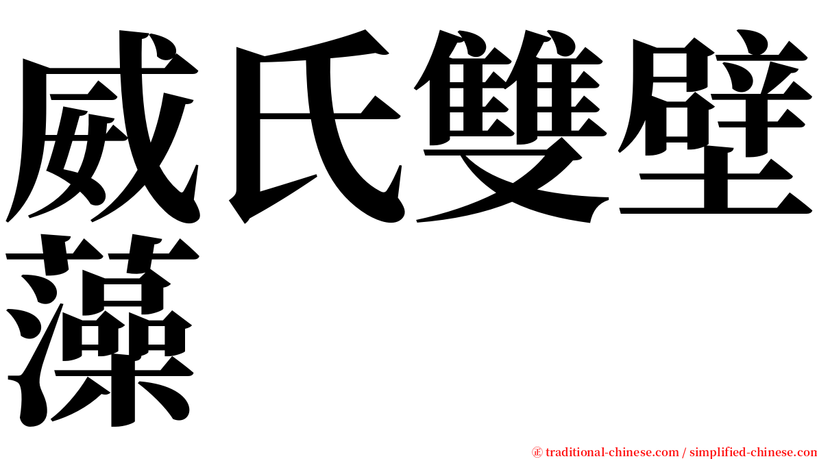 威氏雙壁藻 serif font