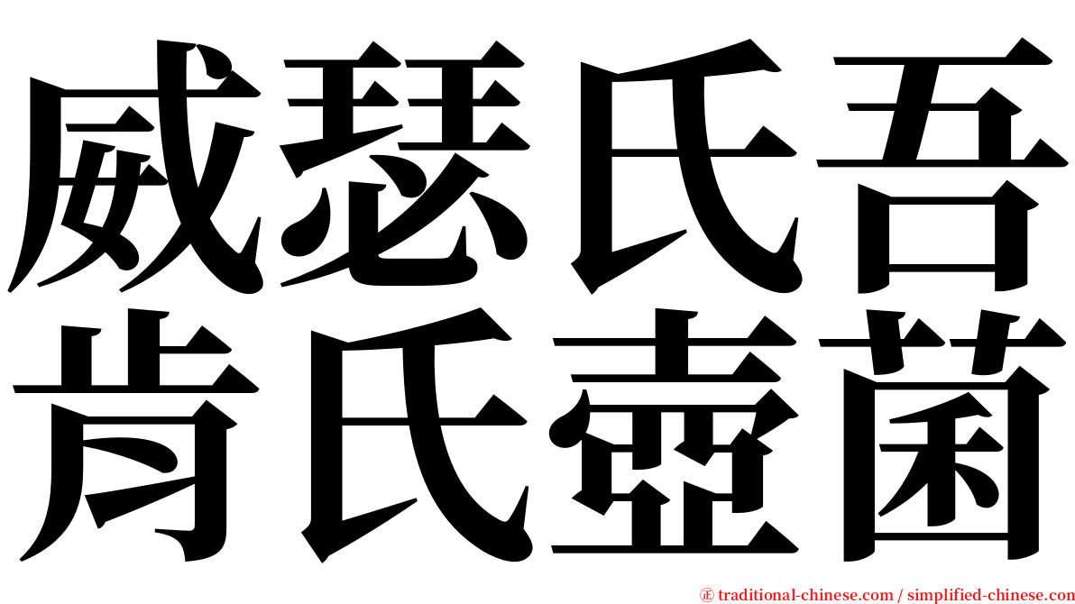 威瑟氏吾肯氏壺菌 serif font