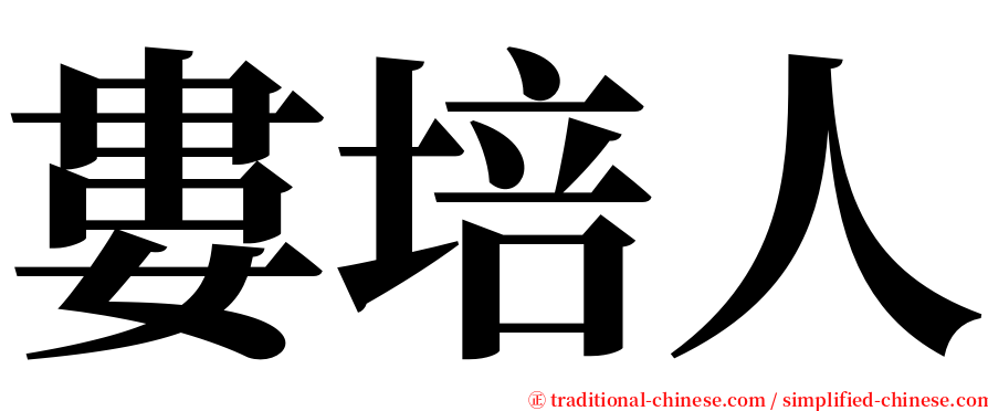 婁培人 serif font