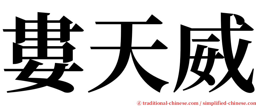 婁天威 serif font