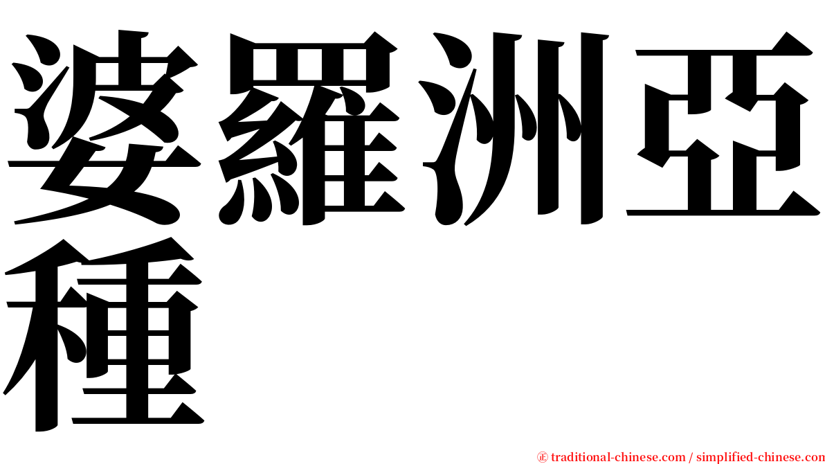 婆羅洲亞種 serif font