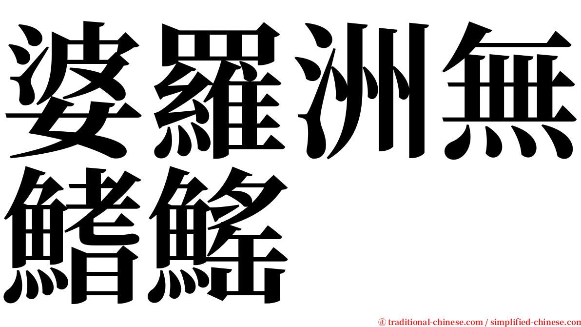 婆羅洲無鰭鰩 serif font