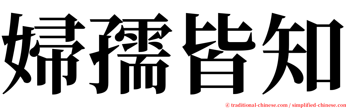 婦孺皆知 serif font