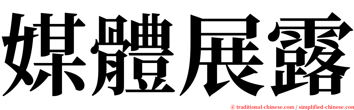 媒體展露 serif font