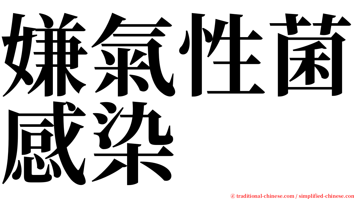 嫌氣性菌感染 serif font