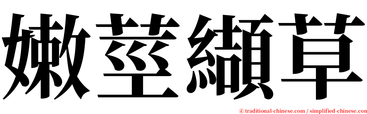 嫩莖纈草 serif font