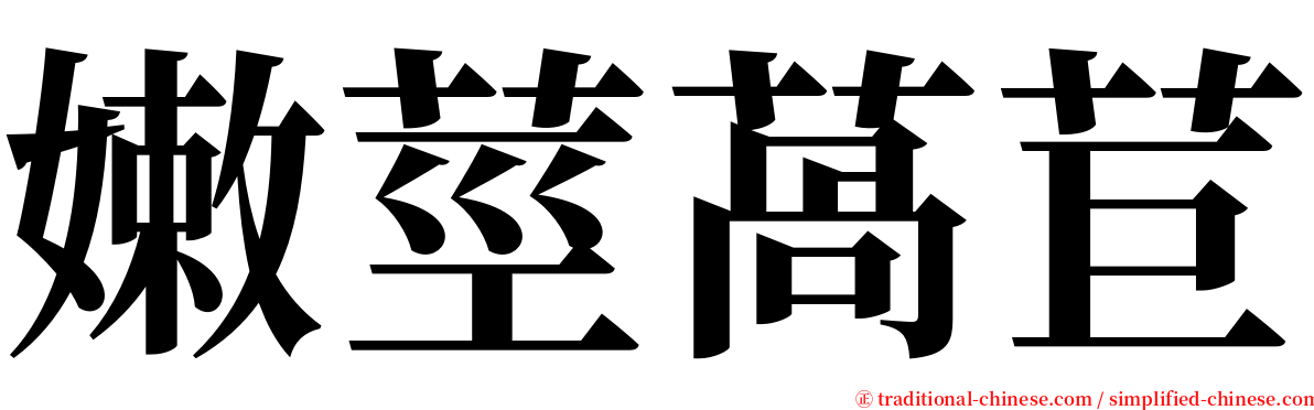 嫩莖萵苣 serif font