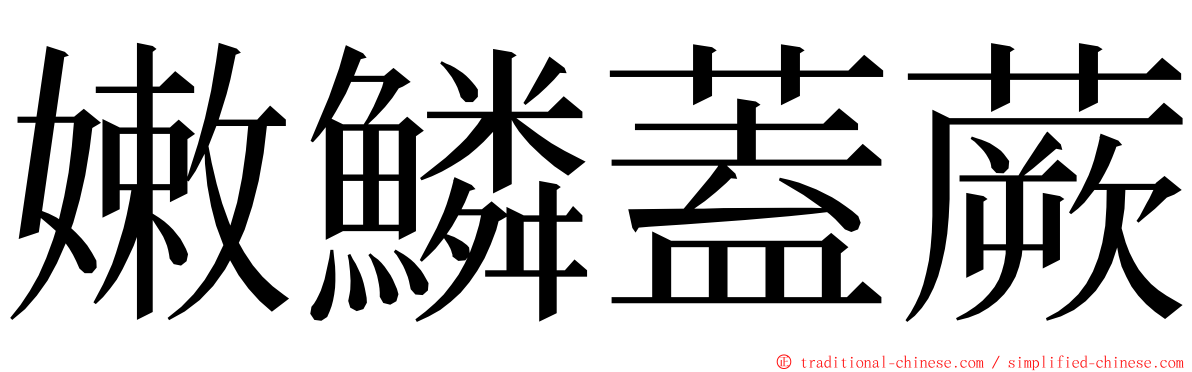 嫩鱗蓋蕨 ming font