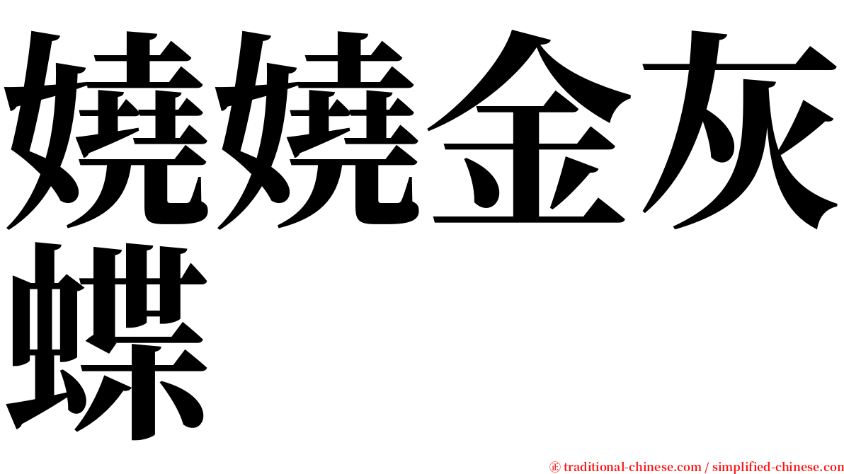 嬈嬈金灰蝶 serif font