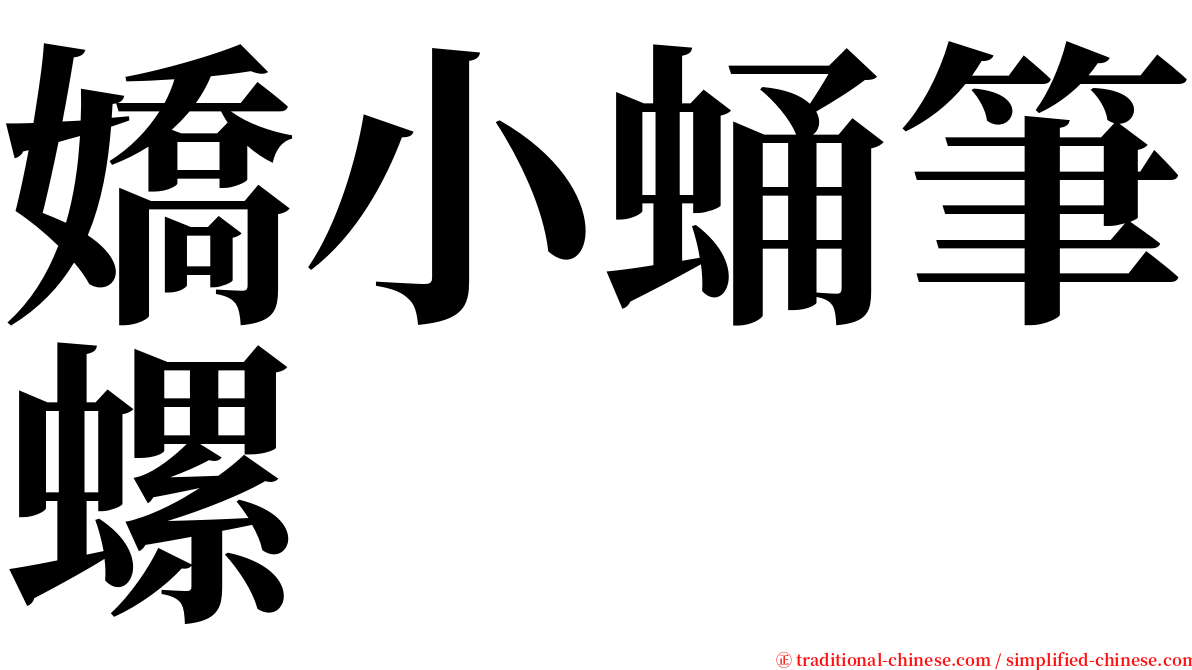 嬌小蛹筆螺 serif font