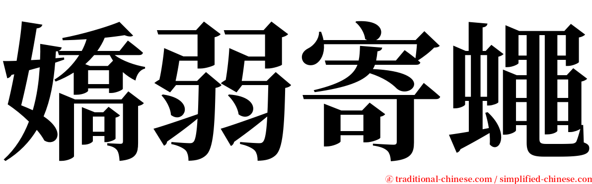 嬌弱寄蠅 serif font