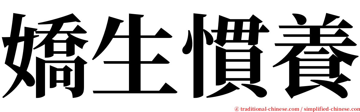 嬌生慣養 serif font