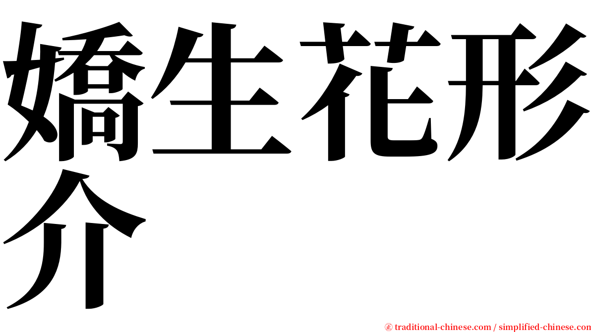 嬌生花形介 serif font