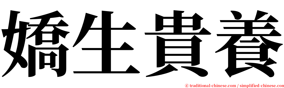 嬌生貴養 serif font