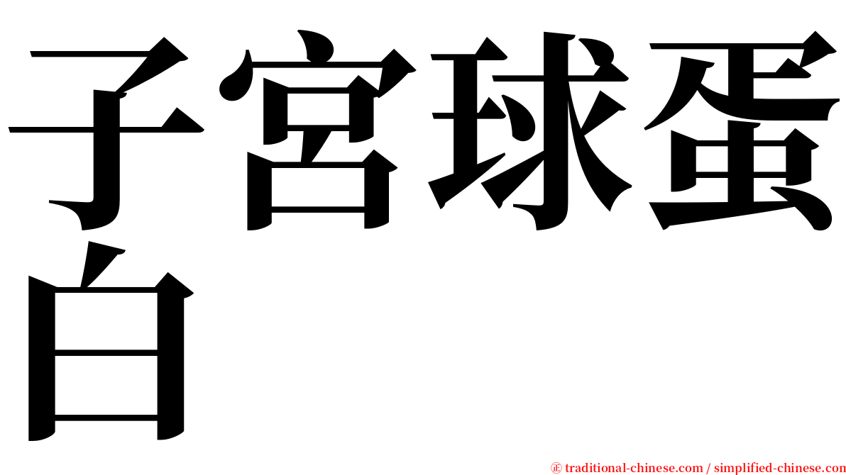 子宮球蛋白 serif font