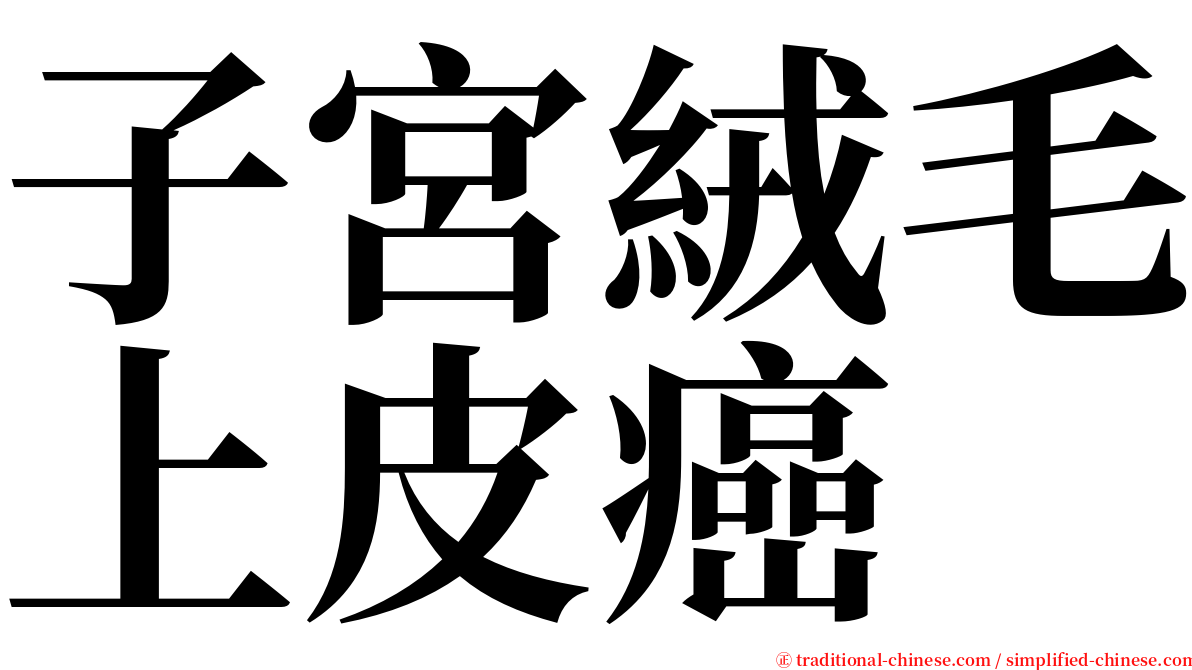 子宮絨毛上皮癌 serif font