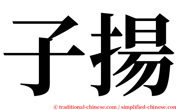 子揚 serif font