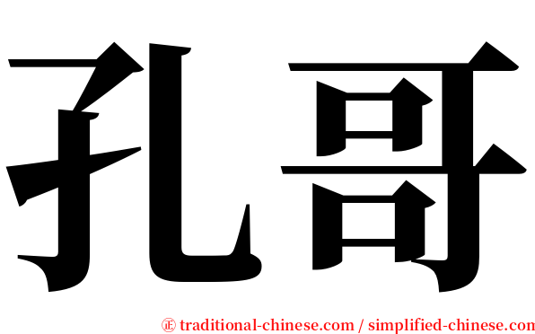 孔哥 serif font