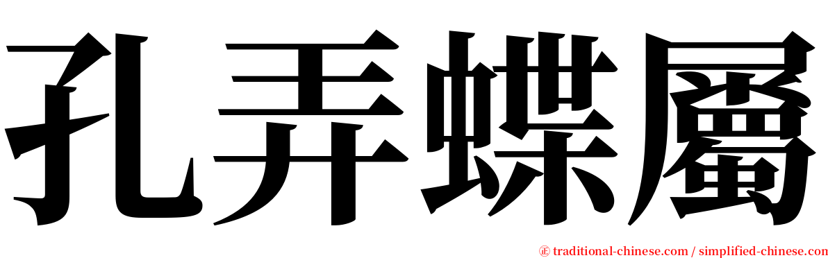 孔弄蝶屬 serif font