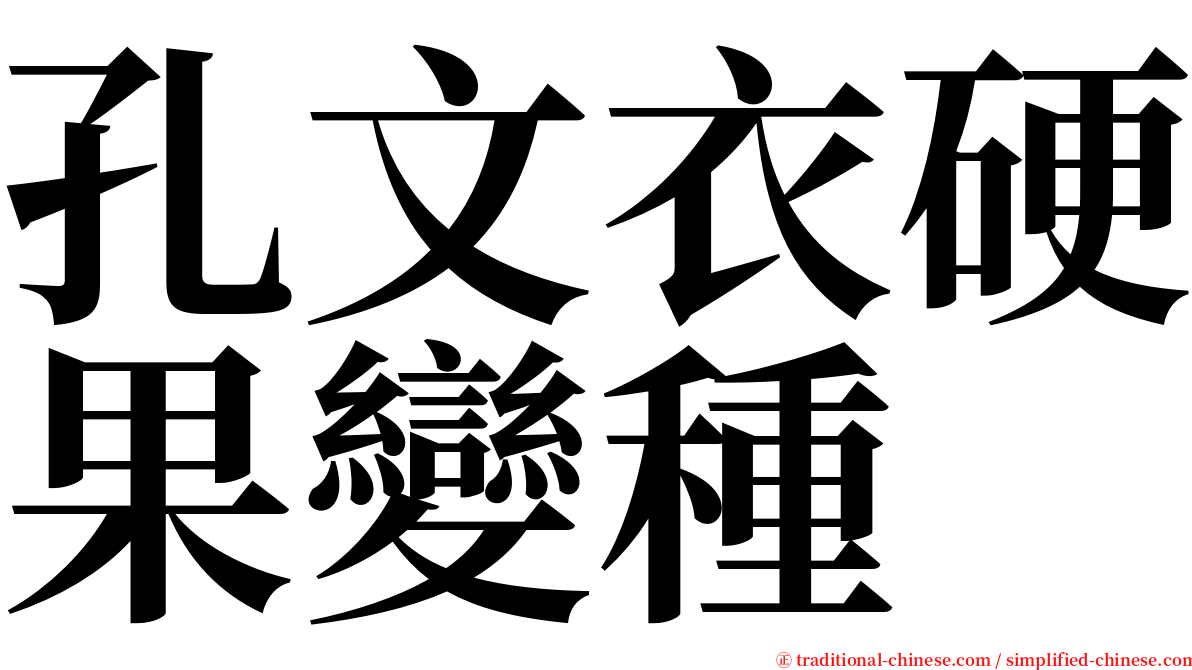 孔文衣硬果變種 serif font