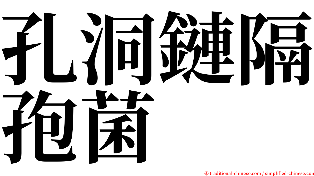 孔洞鏈隔孢菌 serif font