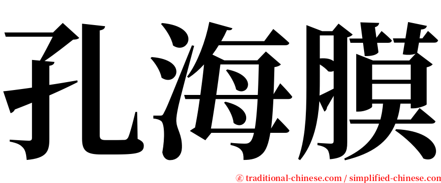 孔海膜 serif font