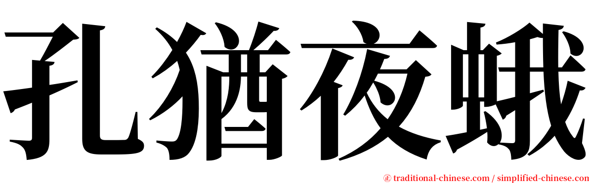 孔猶夜蛾 serif font