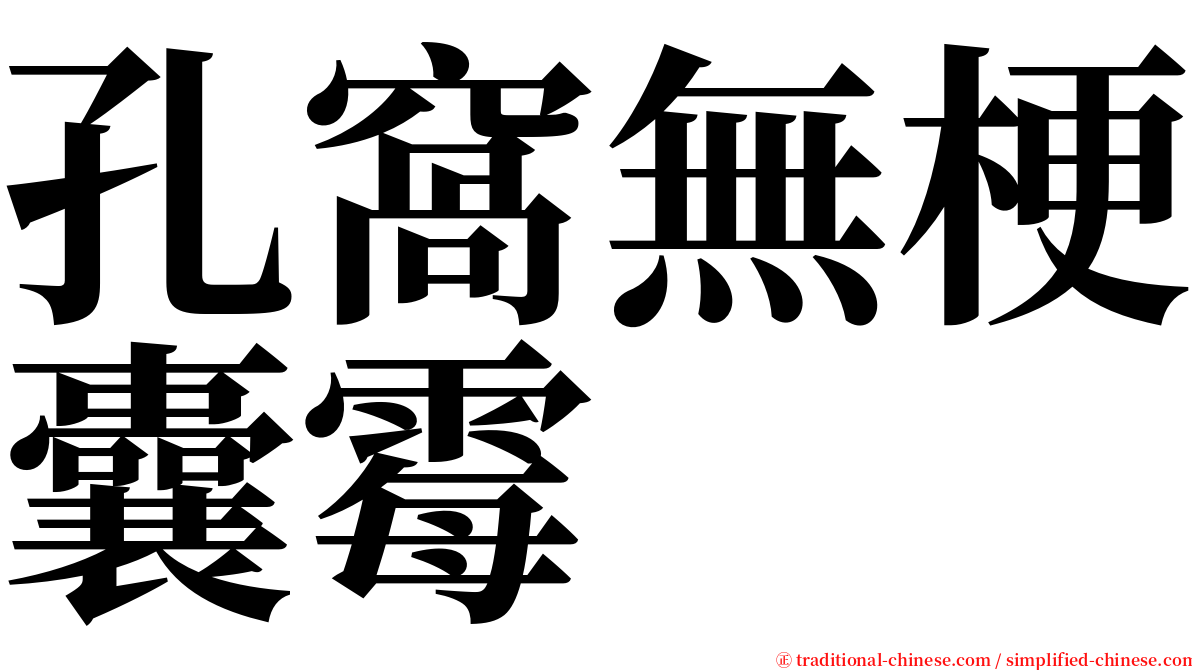 孔窩無梗囊霉 serif font