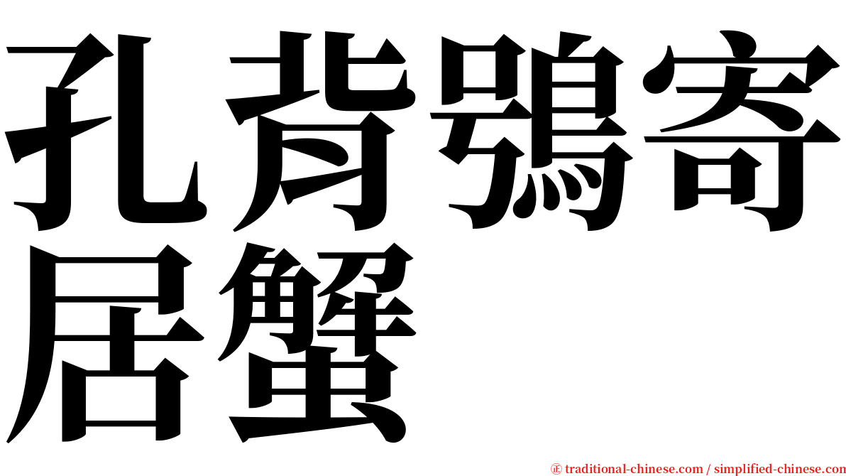 孔背鴞寄居蟹 serif font