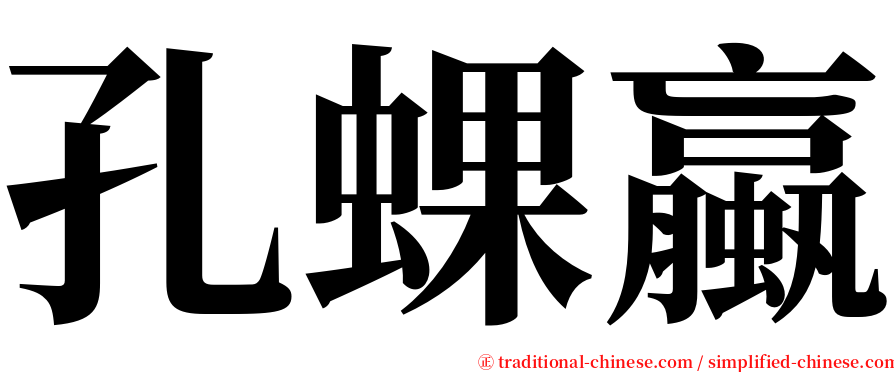 孔蜾蠃 serif font