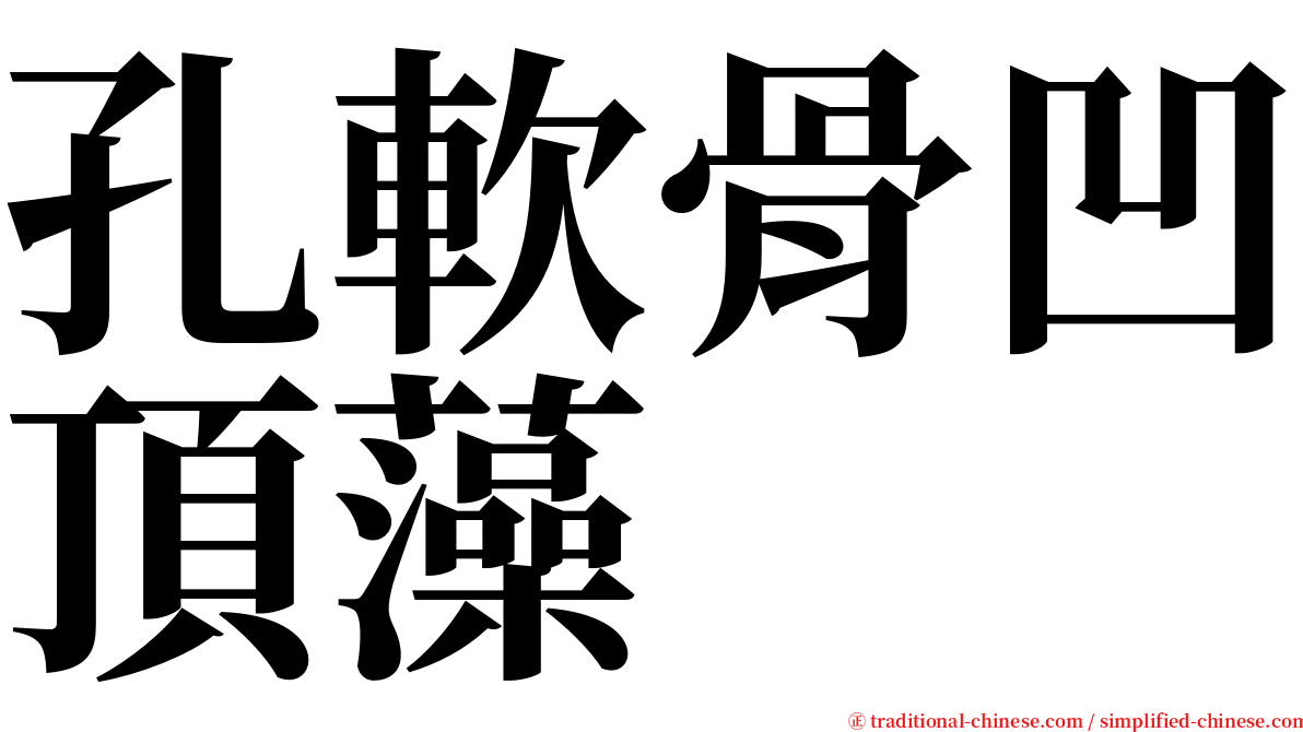 孔軟骨凹頂藻 serif font