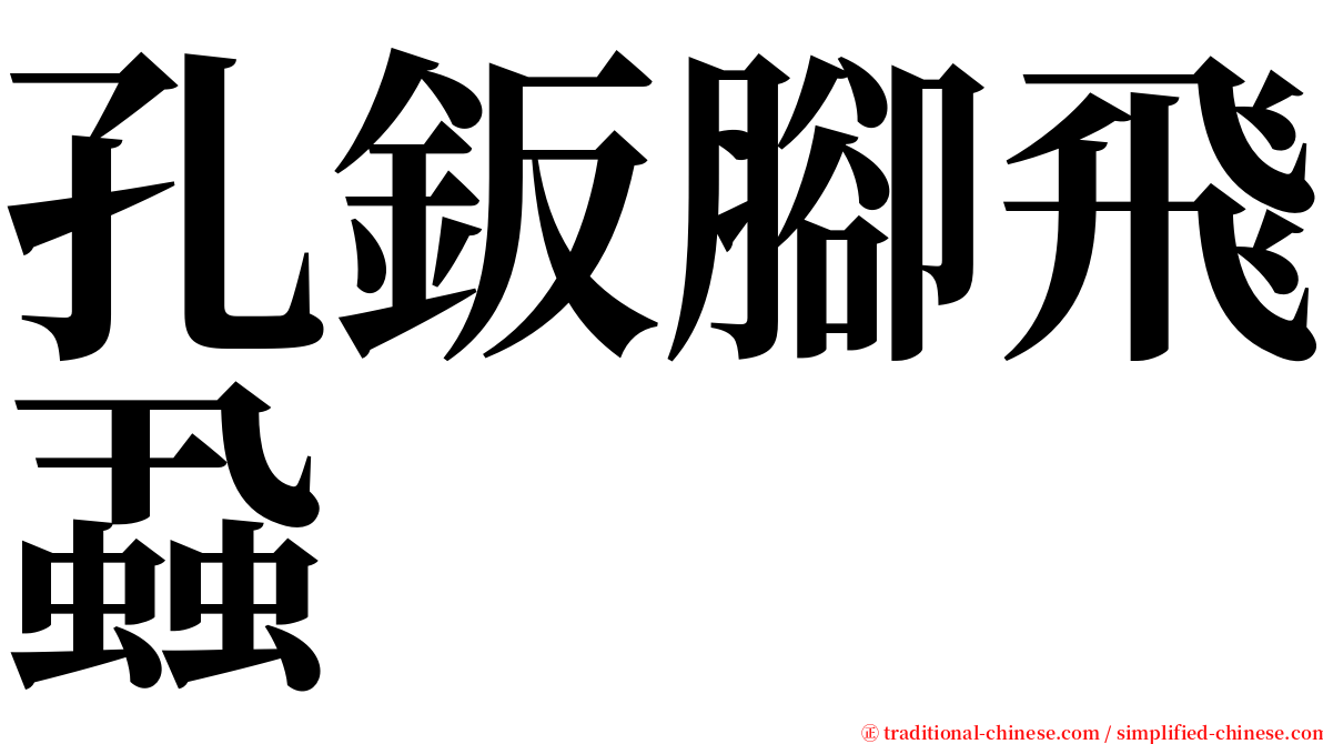 孔鈑腳飛蝨 serif font