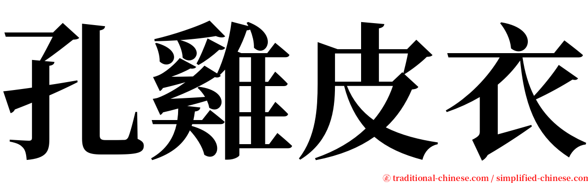 孔雞皮衣 serif font