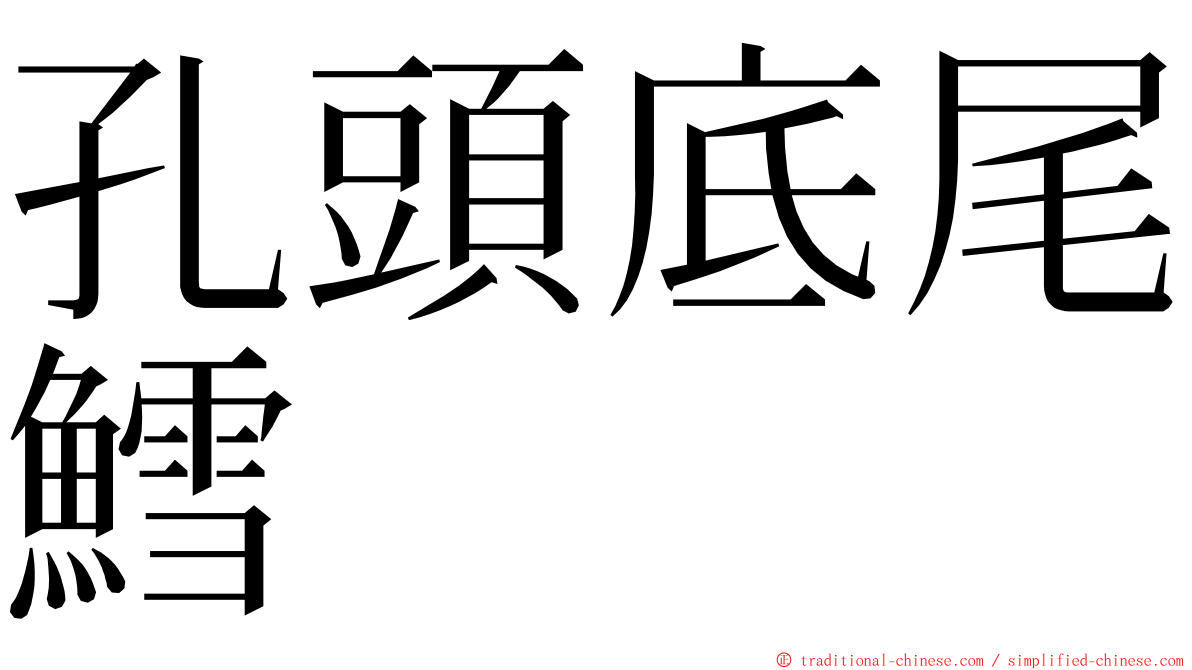 孔頭底尾鱈 ming font