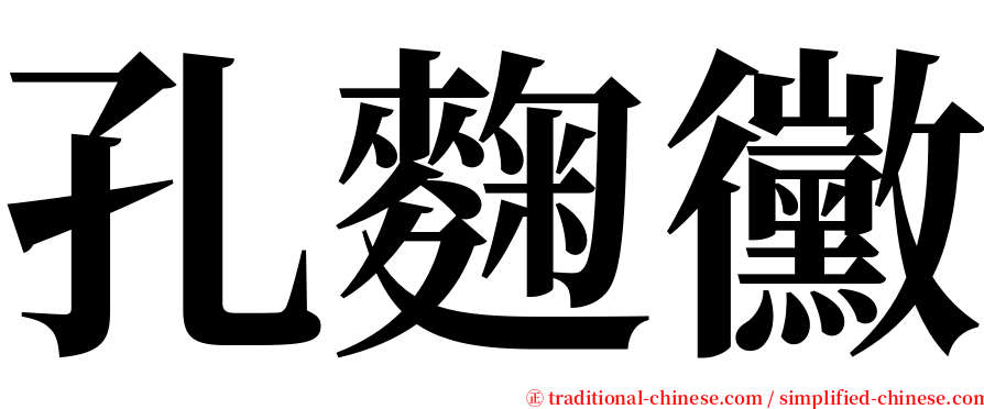 孔麴黴 serif font