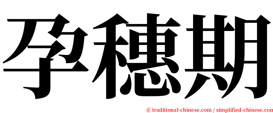 孕穗期 serif font