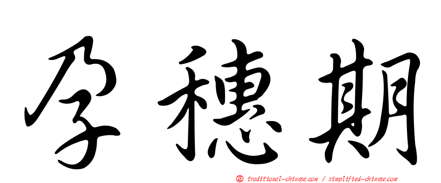 孕穗期