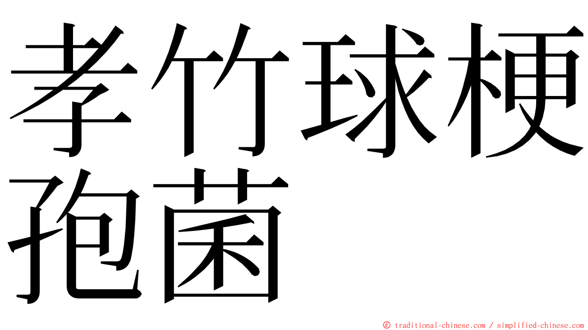 孝竹球梗孢菌 ming font