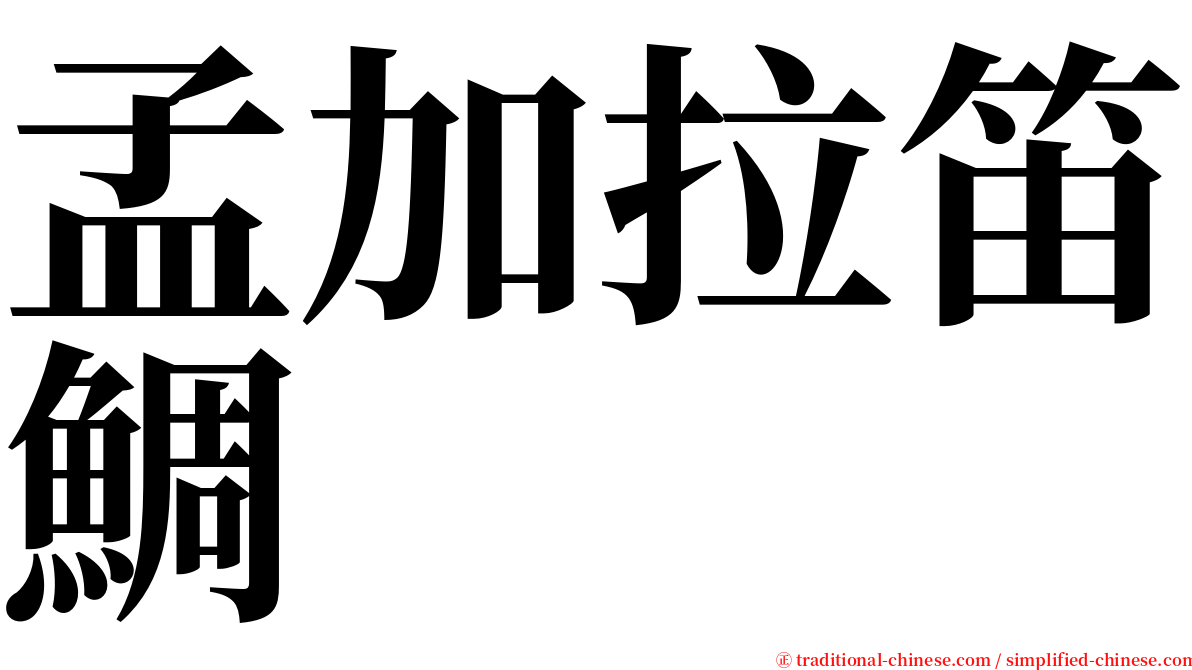 孟加拉笛鯛 serif font