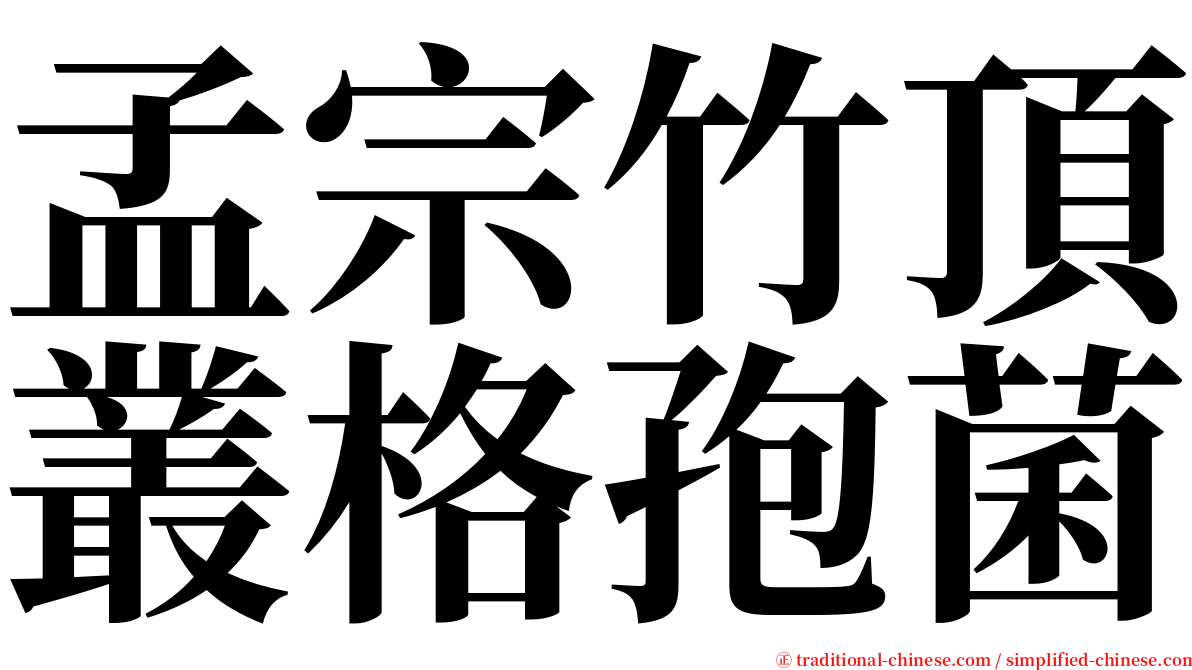 孟宗竹頂叢格孢菌 serif font