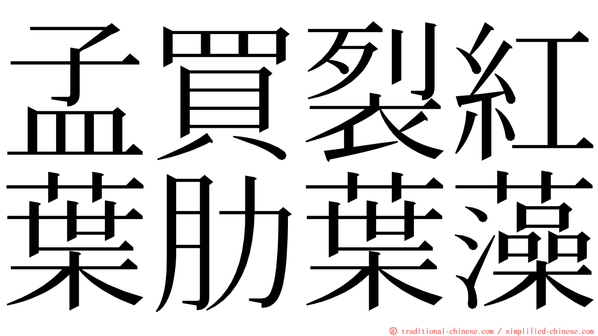 孟買裂紅葉肋葉藻 ming font