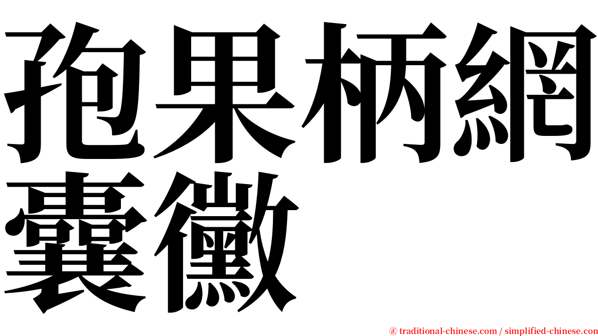 孢果柄網囊黴 serif font