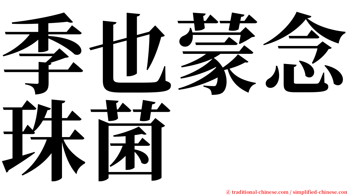 季也蒙念珠菌 serif font