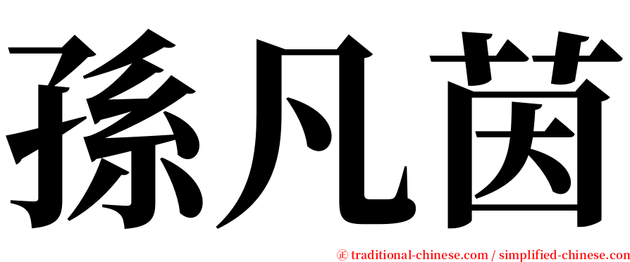 孫凡茵 serif font