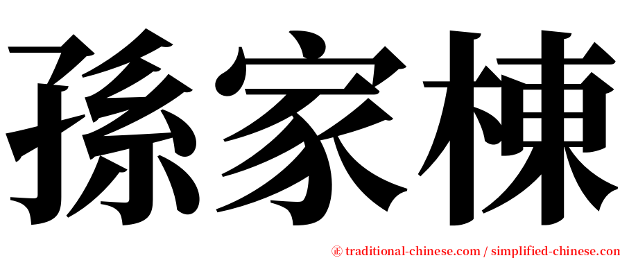 孫家棟 serif font