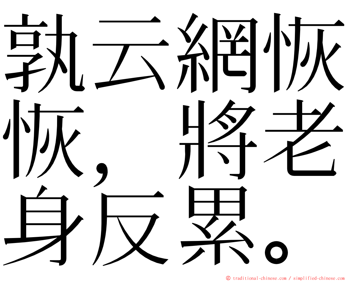 孰云網恢恢，將老身反累。 ming font