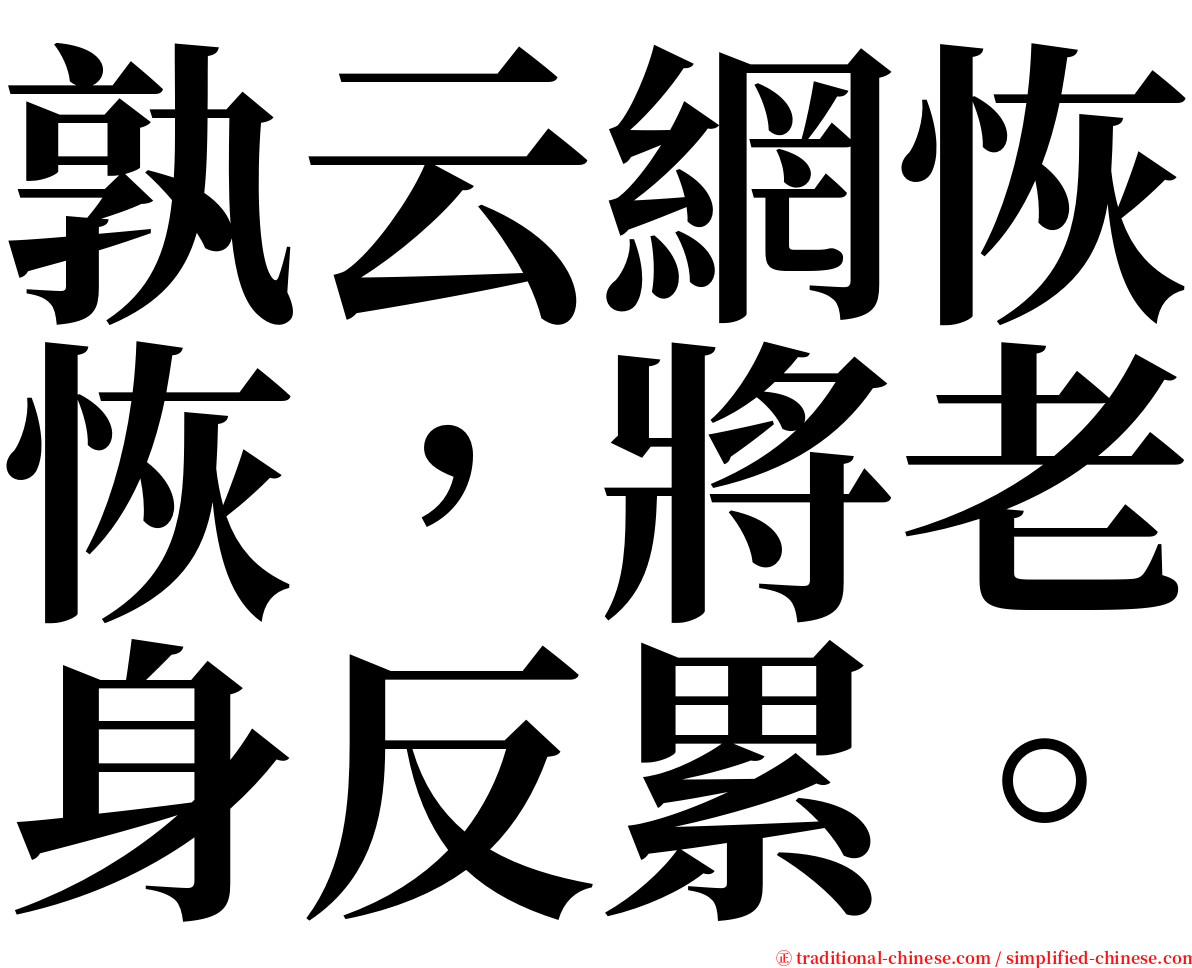 孰云網恢恢，將老身反累。 serif font